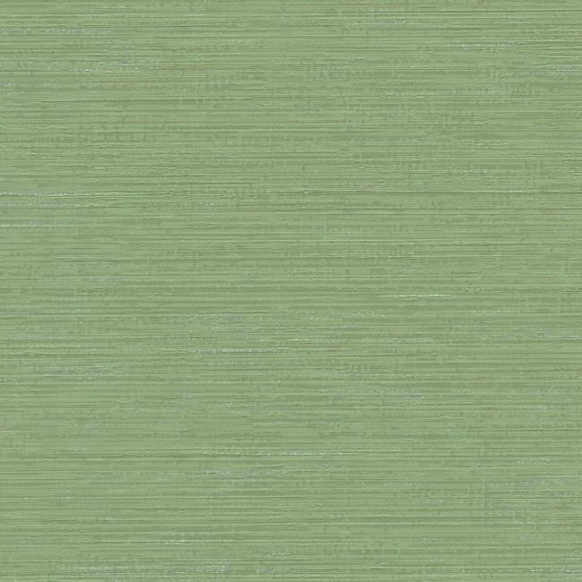 Save TL6128N Design Digest Fine Line color Green Textures by York Wallpaper