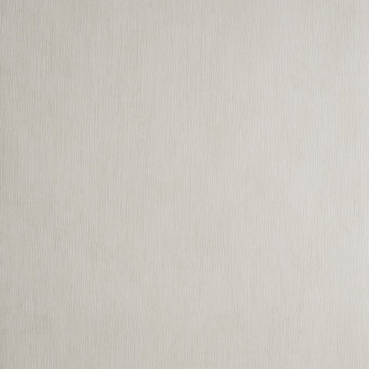 W0060/05 Rafi Neutral Distressed Texture Clarke And Clarke Wallpaper