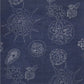 W3584.50.0 Telescopic G Deep Ocean Kravet Couture Wallpaper ; W3584.50.0 Telescopic G Deep Ocean Kravet Couture Wallpaper1