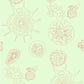 W3585.319.0 Telescopic P Coral Sea Kravet Couture Wallpaper ; W3585.319.0 Telescopic P Coral Sea Kravet Couture Wallpaper1