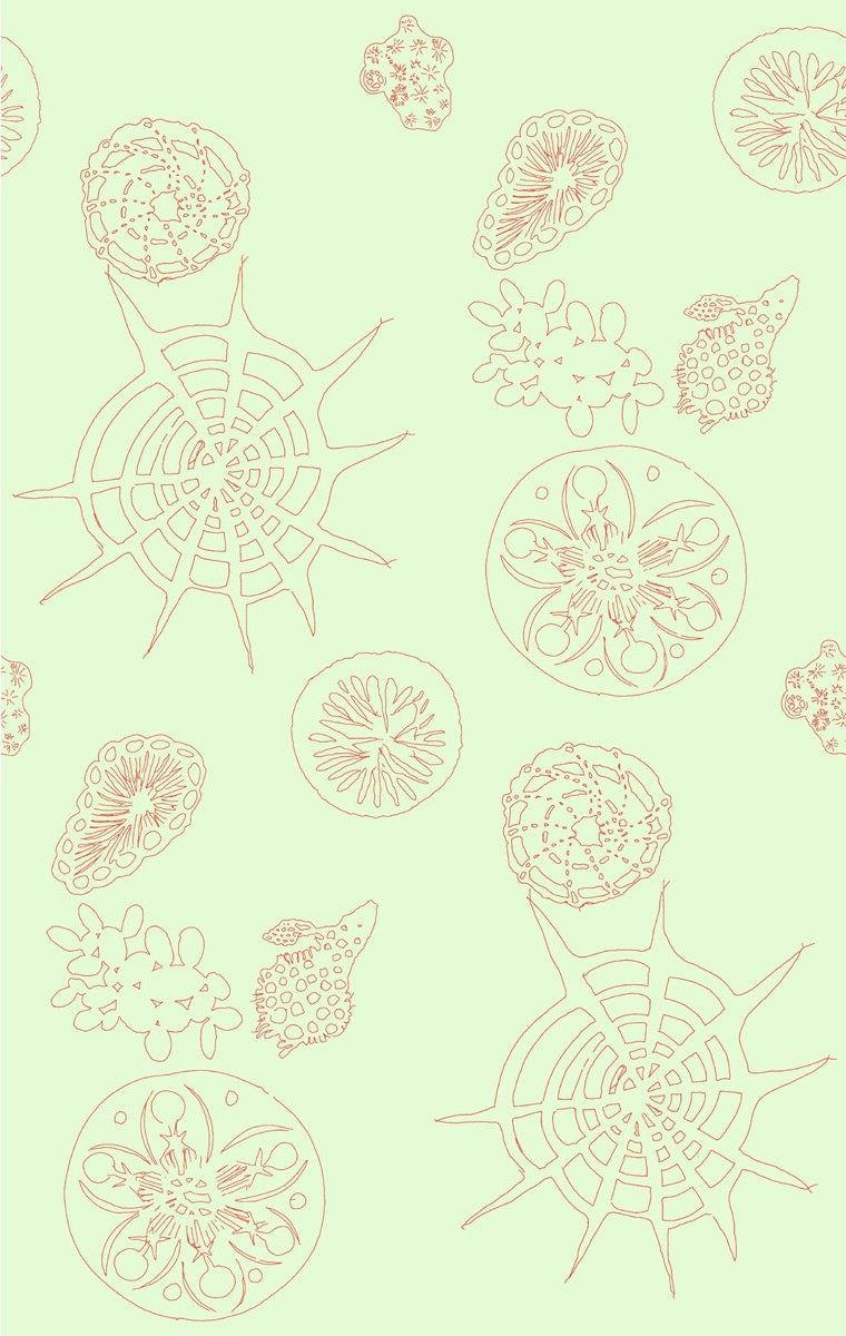 W3585.319.0 Telescopic P Coral Sea Kravet Couture Wallpaper ; W3585.319.0 Telescopic P Coral Sea Kravet Couture Wallpaper1