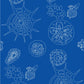 W3585.5.0 Telescopic P Nautics Kravet Couture Wallpaper ; W3585.5.0 Telescopic P Nautics Kravet Couture Wallpaper1