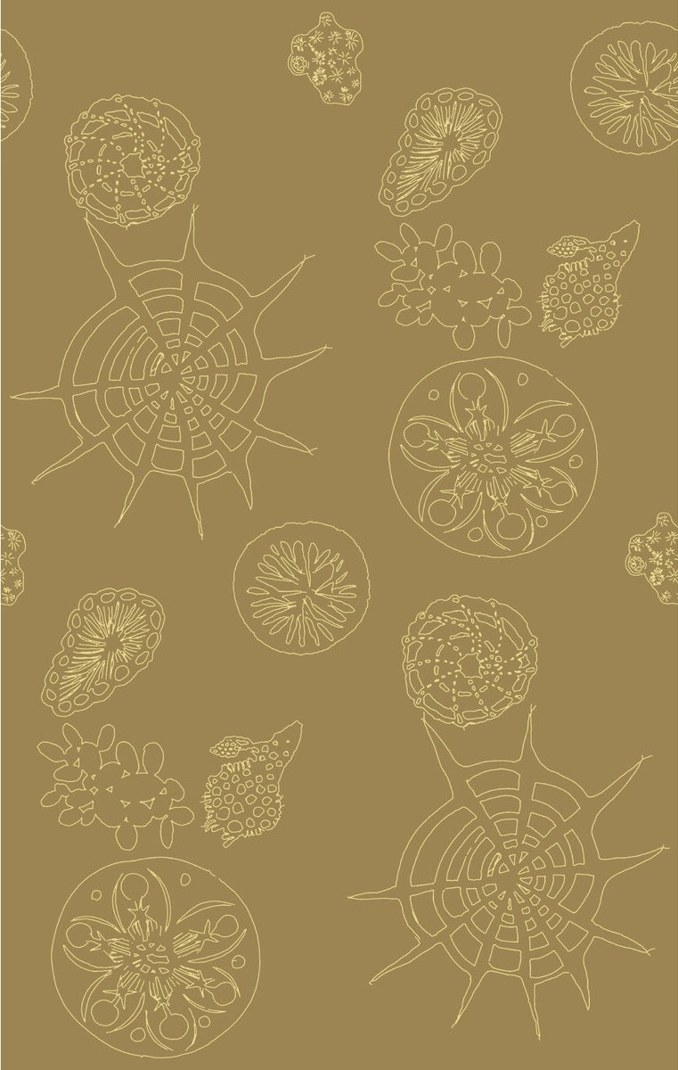 W3585.616.0 Telescopic P Sanddollar Kravet Couture Wallpaper ; W3585.616.0 Telescopic P Sanddollar Kravet Couture Wallpaper1