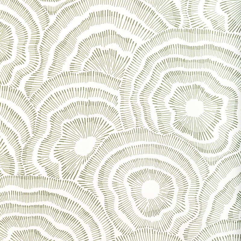 W3823.123.0 Panache Wp Leaf Kravet Couture Wallpaper