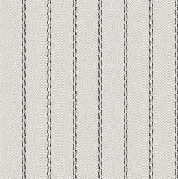 WBP11400P.WT Ticking Stripe Charcoal by Winfield Thybony