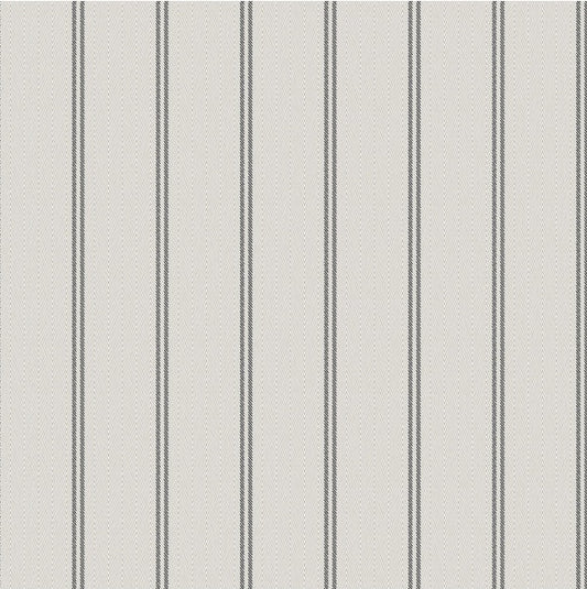 WBP11400P.WT Ticking Stripe Charcoal by Winfield Thybony