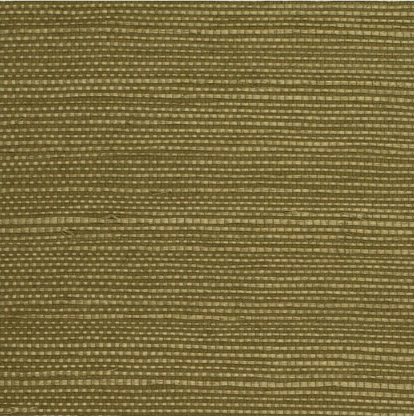 WDW2413.WT Distinctive Sisals Moss by Winfield Thybony