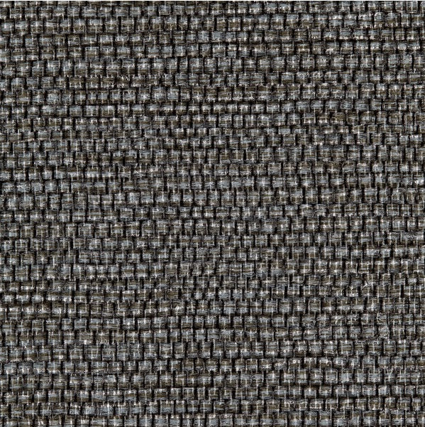 WPW1148.WT Panama Nightwatch by Winfield Thybony