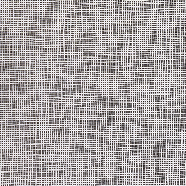 WPW1467.WT Shelter Linen Checkers by Winfield Thybony