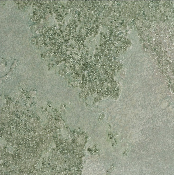 WSP6309.WT Corvo Beads by Winfield Thybony