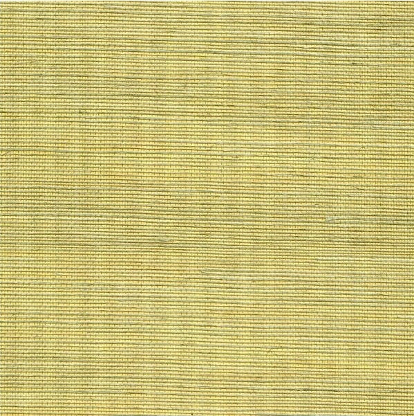 WSS4528.WT Metallic Sisal Lemon Grass by Winfield Thybony