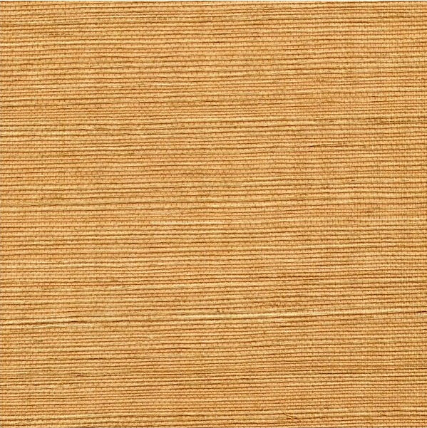 WSS4545.WT Sisal Ochre by Winfield Thybony