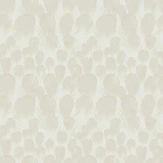 Acquire Y6230102 Natural Opalescence Feathers Cream Animals/Insects by Antonina Vella Wallpaper