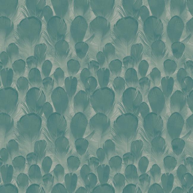 Select Y6230105 Natural Opalescence Feathers Teal Animals/Insects by Antonina Vella Wallpaper