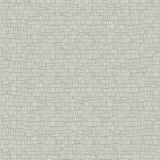 Find Y6230401 Natural Opalescence Skin Lt Grey Metallic by Antonina Vella Wallpaper